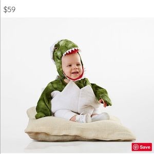 Pottery barn dinosaur costume